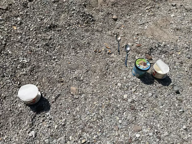 Hier hat wohl jemand ein Eis genossen – und vergessen seinen Müll anschließend zu verräumen. | Foto: Nimpf