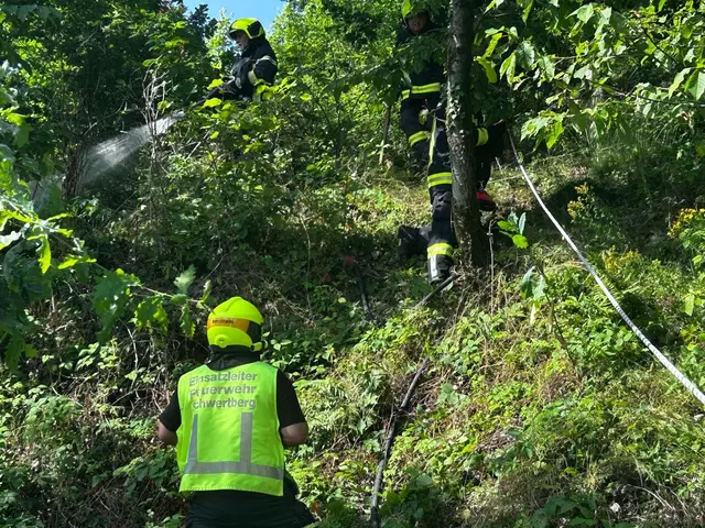 Foto: fotokerschi.at/FF Schwertberg