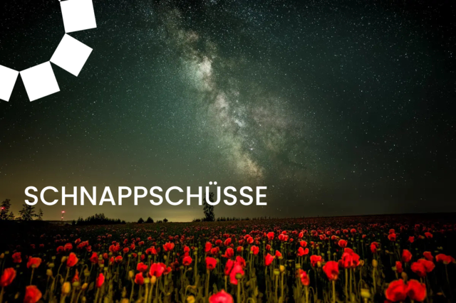 Foto: Markus Pufler/MeinBezirk