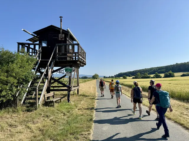 Auf dem Weg von Burg nach Schandorf | Foto: Sebastian Koller