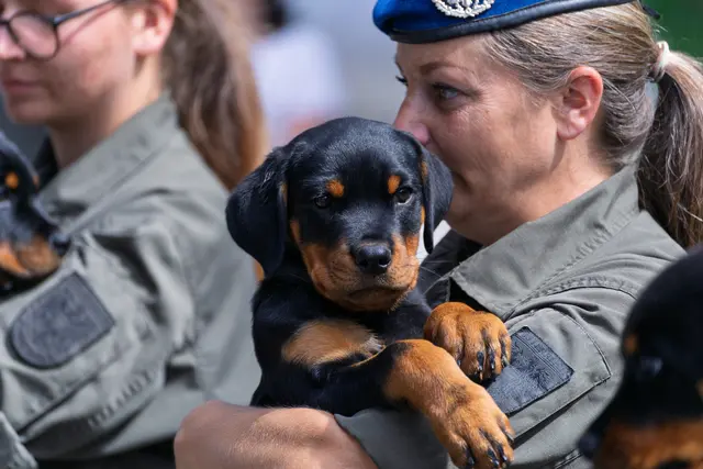Foto: Bundesheer/Stefan Klikovich