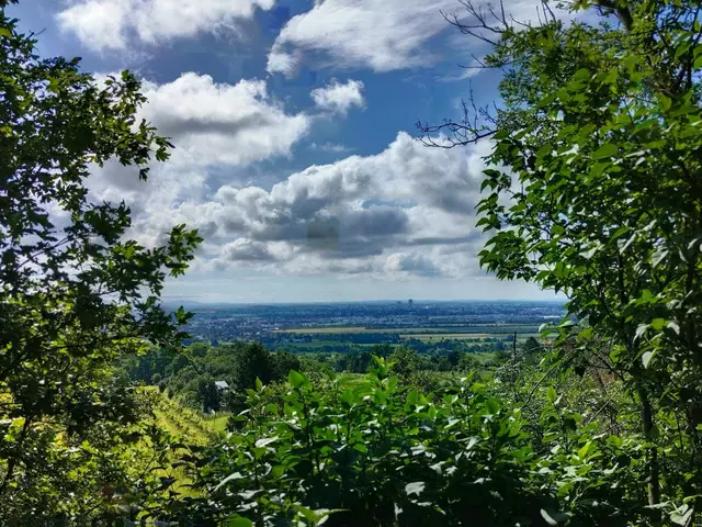 Oder genieße eine Wanderung zum Bisamberg und staune ob der Aussicht. | Foto: Rebekka Sadiki-Peckary