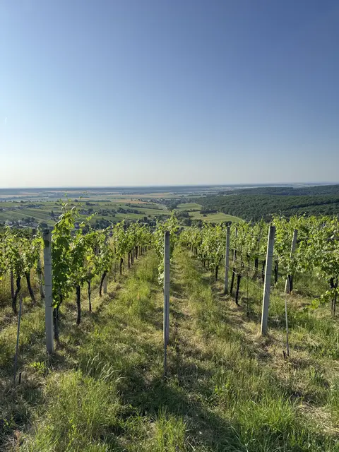 Eisenberg an der Pinka | Foto: Sebastian Koller