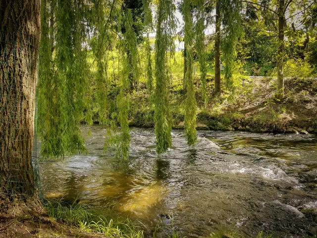 Stell dir vor, wie du deine Schuhe ausziehst und über eine flache Stelle in den Fluss steigst. Deine erhitzten Füße berühren nun das klare, kalte Wasser und du fühlst Erleichterung aufsteigen. Einfach weil es so schnell abkühlt. Weil das Wasser wie von einer Sekunde auf die andere, die Schwere abwäscht und das kühle Nass dir sofort die Aufmerksamkeit auf den jetzigen Moment schenkt. Die Kieselsteine am Boden des Flusses sind mal größer, mal kleiner, mal glatter, mal rauer, mal spitz, mal geschliffen. Du hast jetzt einen stabilen Stand gefunden ohne im Kies einzusinken und genießt die Strömung an deinen Füßen. Kontinuierlich und ganz von selbst wird alles leichter heute. Du bist im Fluss. 