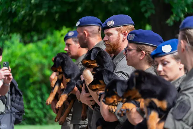 Foto: Bundesheer/Stefan Klikovich