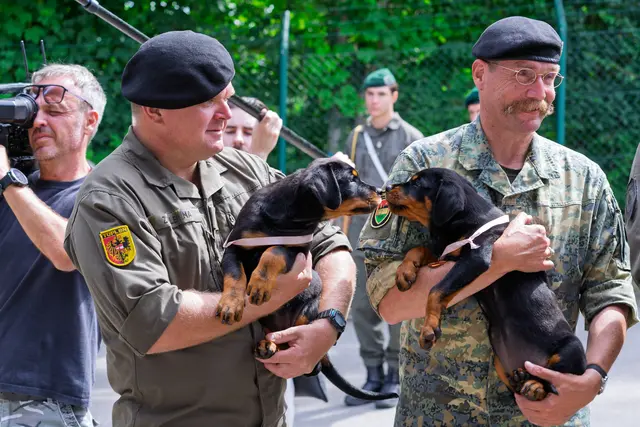 Dich kenne ich doch! Freunde werden sich während der Ausbildung bestimmt finden. | Foto: Bundesheer/Stefan Klikovich