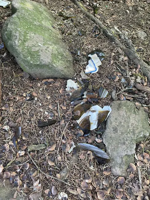 Auch zerbrochene Bierflaschen liegen am Aubach herum – besonders gefährlich für Kinder und Hunde. | Foto: Nimpf