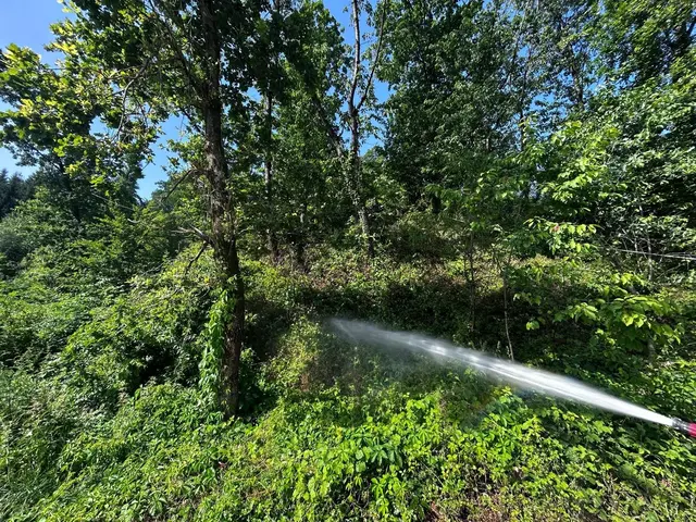 Foto: fotokerschi.at/FF Schwertberg