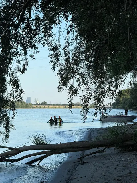 Die junge Frau ging im Bereich der Rollfähre beim Baden plötzlich unter.  | Foto: Wasserrettung Tulln