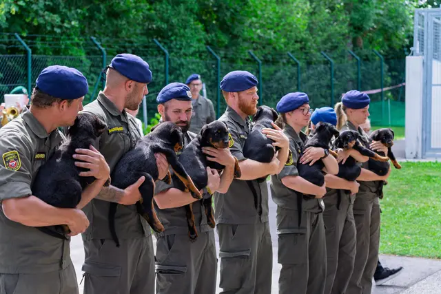 Foto: Bundesheer/Stefan Klikovich