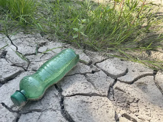 Der Bauhof muss immer wieder die Hinterlassenschaften und den Müll beseitigen – mittlerweile sogar an den Wochenenden. | Foto: Nimpf