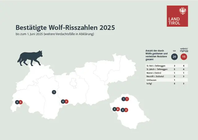 Wolf-Risszahlen 2025 | Foto: Land Tirol/Dominik