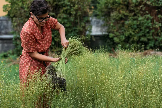 Mühlviertler Spinnerinnen für internationales Textilprojekt gesucht | Foto: Alisa Matern