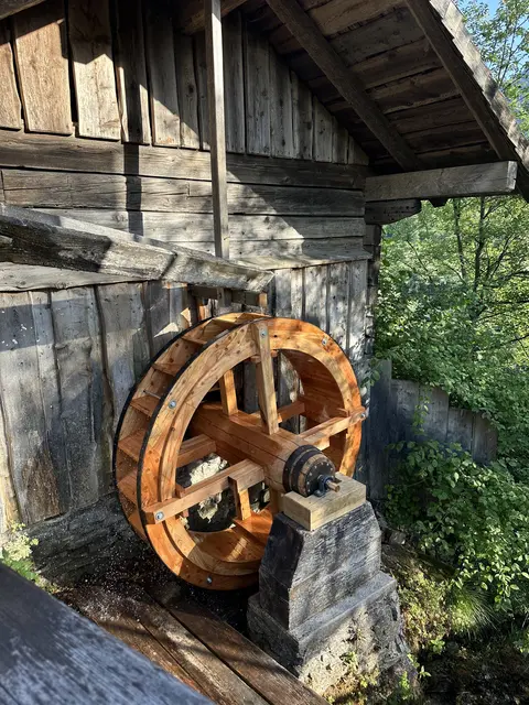 Für das Mühlenrad wurde ausschließlich feinjähriges, weitgehend astfreies Lärchenholz verwendet.  | Foto: Holzcluster Salzburg