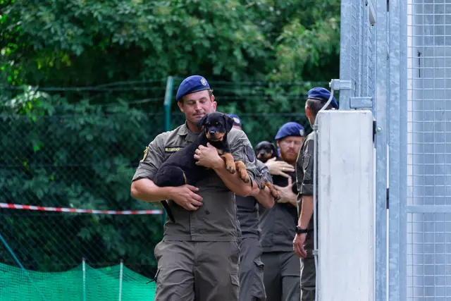 Foto: Bundesheer/Stefan Klikovich