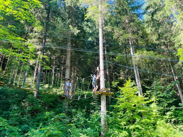 Im Klettergarten ging's hoch hinaus. | Foto: MSK Reutte