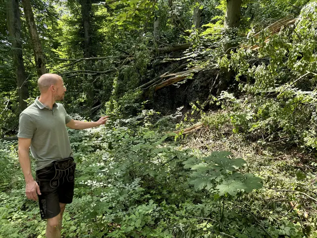 Hitzetage und lange Trockenperioden haben auch Auswirkungen auf die Stadtwälder und den Waldbau. Vor allem exponierte Südhänge auf den Stadtbergen sind primär von den Folgen des Klimawandels betroffen, weiß Stadtförster Christian Neureiter. | Foto: Lisa Gold