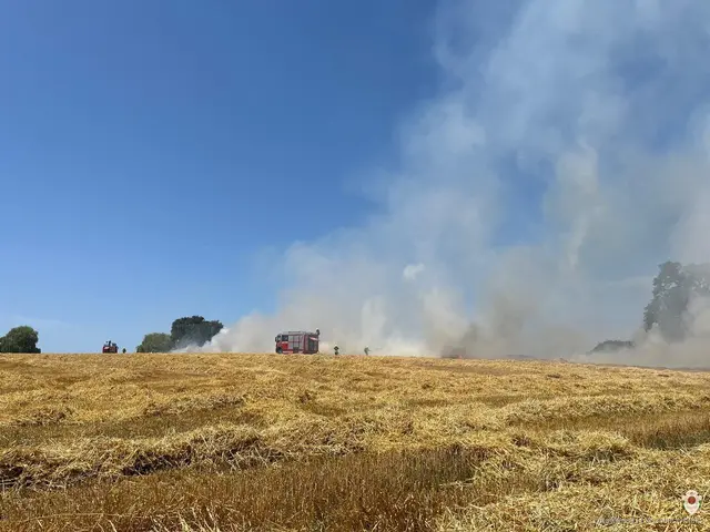 Foto: Bfkdo Amstetten / FF Aschbach