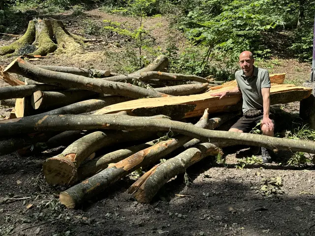 Hitzetage und lange Trockenperioden haben auch Auswirkungen auf die Stadtwälder und den Waldbau. Vor allem exponierte Südhänge auf den Stadtbergen sind primär von den Folgen des Klimawandels betroffen, weiß Stadtförster Christian Neureiter. | Foto: Lisa Gold