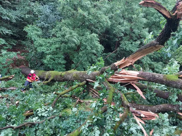 Umgestürzte Bäume, ein entgleister Zug: Die Freiwillige Feuerwehr Nestelbach bei Graz war am Donnerstagabend besonders gefordert.  | Foto: FF Nestelbach bei Graz