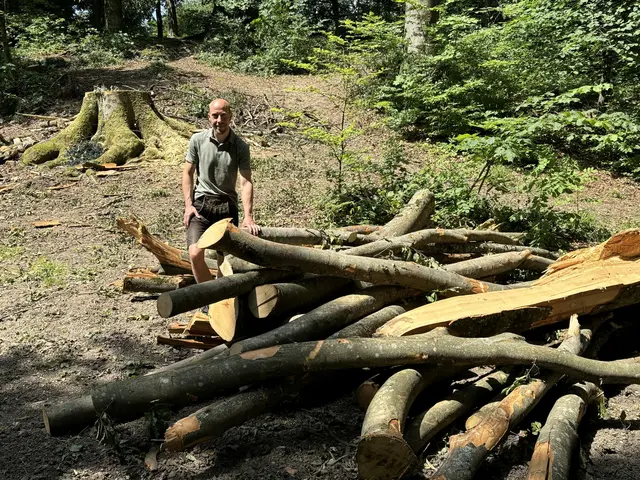 Erst in der Vorwoche waren auch die Stadtwälder von dem Gewitter inklusive starker Sturmböen betroffen. | Foto: Lisa Gold