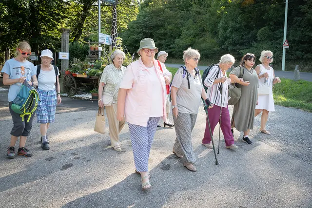 Halbtagesausflüge in die Natur werden geboten. | Foto: BV6