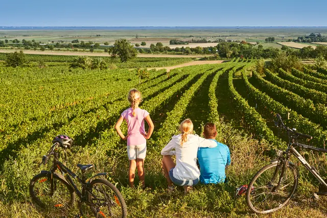Ob Radtour, Kitesurfen, Kulinarik oder Weingenuss: Das Burgenland ist im Sommer ein beliebtes Urlaubsziel.  | Foto: Burgenland Tourismus /Paul Szimak