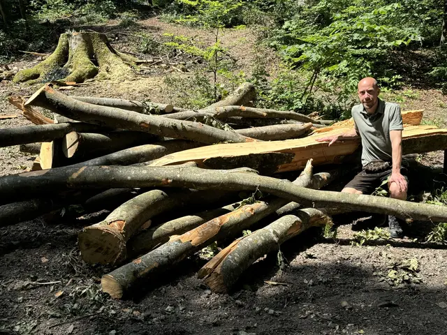 Hitzetage und lange Trockenperioden haben auch Auswirkungen auf die Stadtwälder und den Waldbau. Vor allem exponierte Südhänge auf den Stadtbergen sind primär von den Folgen des Klimawandels betroffen, weiß Stadtförster Christian Neureiter. | Foto: Lisa Gold