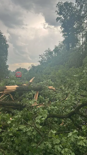Ein Zug war im Ortsteil Mitterlaßnitz in der Gemeinde Nestelbach bei Graz entgleist - verletzt wurde zum Glück niemand.  | Foto: FF Nestelbach bei Graz