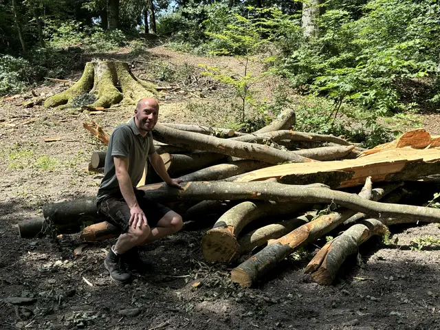 Hitzetage und lange Trockenperioden haben auch Auswirkungen auf die Stadtwälder und den Waldbau. Vor allem exponierte Südhänge auf den Stadtbergen sind primär von den Folgen des Klimawandels betroffen, weiß Stadtförster Christian Neureiter. | Foto: Lisa Gold