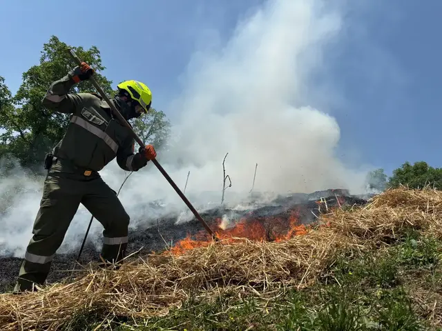 Acker brannte im Bezirk Völkermarkt. (Symbolfoto) | Foto: MeinBezirk.at
