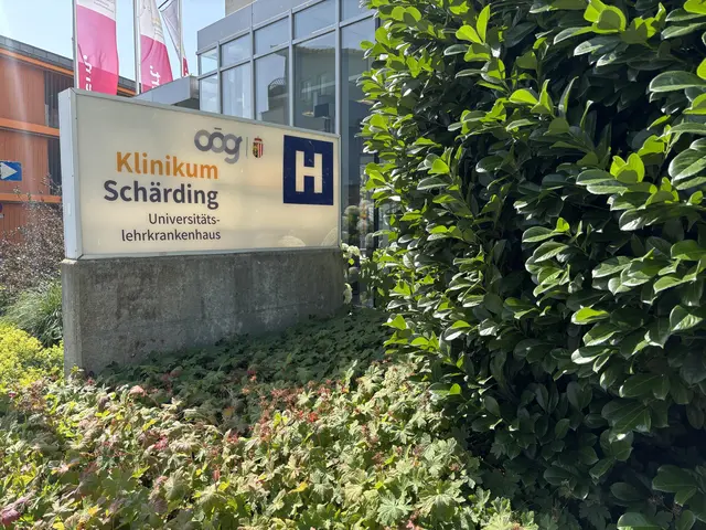 Foto: MeinBezirk/Bichler