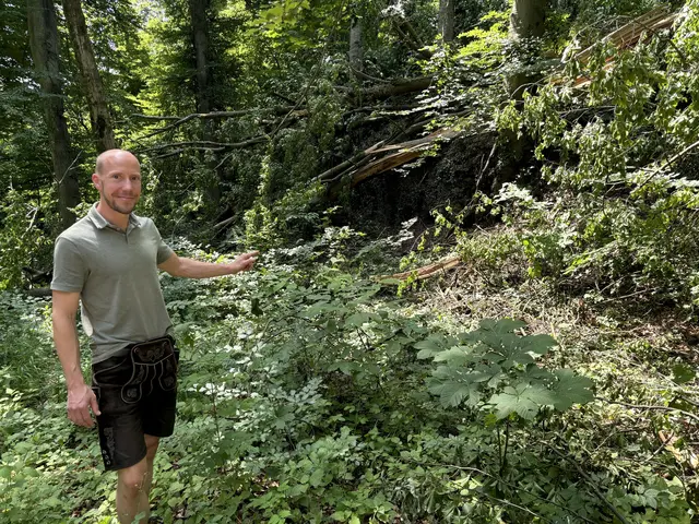 Hitzetage und lange Trockenperioden haben auch Auswirkungen auf die Stadtwälder und den Waldbau. Vor allem exponierte Südhänge auf den Stadtbergen sind primär von den Folgen des Klimawandels betroffen, weiß Stadtförster Christian Neureiter. | Foto: Lisa Gold