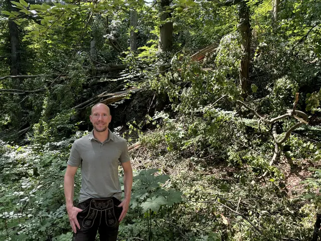 Hitzetage und lange Trockenperioden haben auch Auswirkungen auf die Stadtwälder und den Waldbau. Vor allem exponierte Südhänge auf den Stadtbergen sind primär von den Folgen des Klimawandels betroffen, weiß Stadtförster Christian Neureiter. | Foto: Lisa Gold