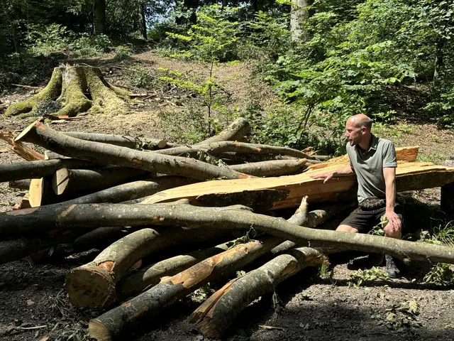 Hitzetage und lange Trockenperioden haben auch Auswirkungen auf die Stadtwälder und den Waldbau. Vor allem exponierte Südhänge auf den Stadtbergen sind primär von den Folgen des Klimawandels betroffen, weiß Stadtförster Christian Neureiter. | Foto: Lisa Gold