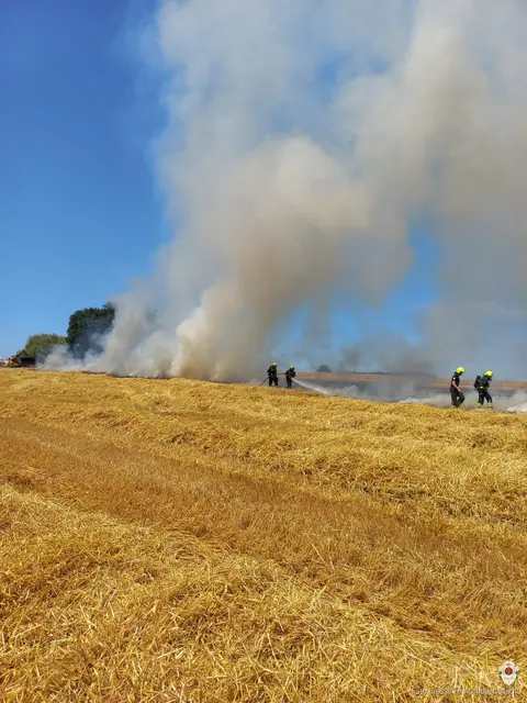 Großflächiger Flurbrand in Aschbach. | Foto: Bfkdo Amstetten / FF Aschbach