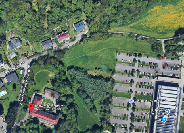 Die geplante "Digital-Uni" (IT:U) könnte nun doch in Auhof, neben dem Biologiezentrum, errichtet werden. Die Bundesimmobiliengesellschaft prüft gerade die Fläche. | Foto: Google Maps