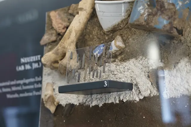 Foto: MeinBezirk/Simon Michl