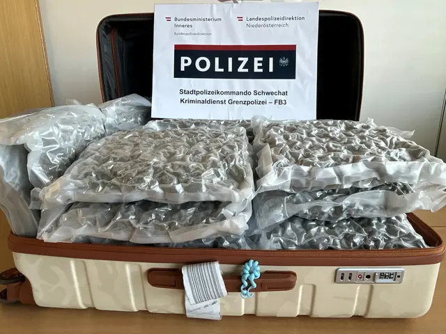 16 kg Cannabiskraut am Flughafen sichergestellt