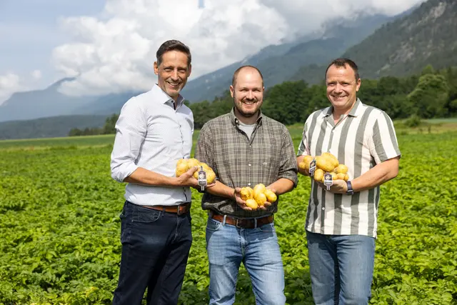 v.l.: Christian Kröll (GF Erlebnissennerei Zillertal), Anita Ehrenstrasser (Leitung nationale und regionale Sortimentskoordination SPAR), Dominic Öfner (Bereichsleitung CM &amp; Einkauf Frische MPREIS) und Clemens Mair (GF-Stv. Agrarmarketing Tirol) freuen sich über einen gelungenen Auftakt der Almmilchsaison

  | Foto: AMTirol, Steinlechner