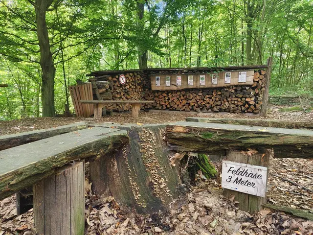 Erlebnisweg Goldenes Bründl. | Foto: Rebekka Sadiki-Peckary