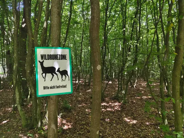 Erlebnisweg Goldenes Bründl. | Foto: Rebekka Sadiki-Peckary