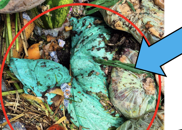 Neben Pflanzenresten und Holz tauchte im Klärwerk Fritzens auch ein Hammer zwischen den Bioabfällen auf. | Foto: Abwasserverband Fritzens-Hall