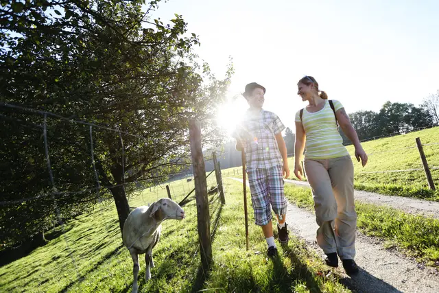 Wandern am Römerweg im Melker Alpenvorland | Foto: Mostviertel Tourismus, schwarz-koenig.at