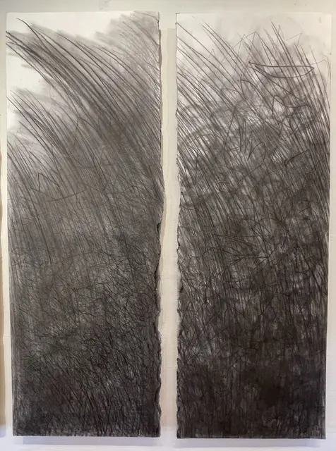 Tonie Meilhamer, Untiefe I u. II
Graphit auf Papier,
140 x 50 cm
je 2500,- € | Foto: Josef Goldhofer