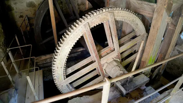 Foto: Franz Fichtinger