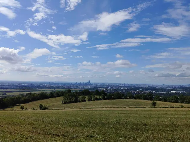 Den Blick auf Wien genießen. | Foto: Rebekka Sadiki-Peckary