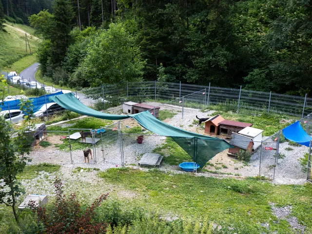 Die Außenanlage von oben. Die Hunde haben täglich Auslauf.