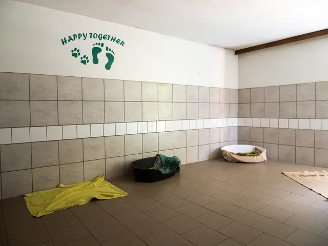 Das große Hundezimmer wird zum Beispiel für neue Bewohner genutzt, um erst einmal richtig anzukommen.