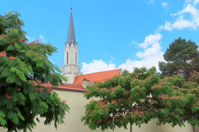 Auch die Hietzinger Pfarrkirche hat so einen schönen Rahmen!
